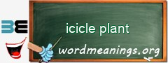 WordMeaning blackboard for icicle plant